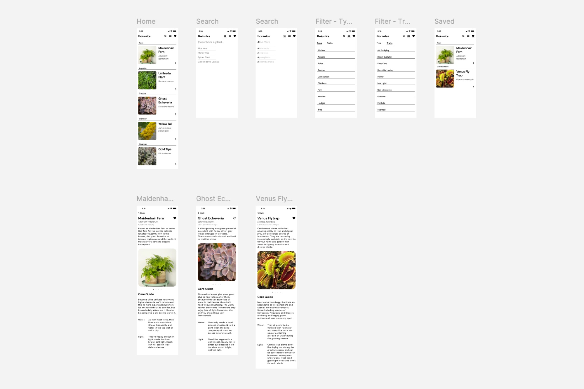 Botanics Figma screenshot