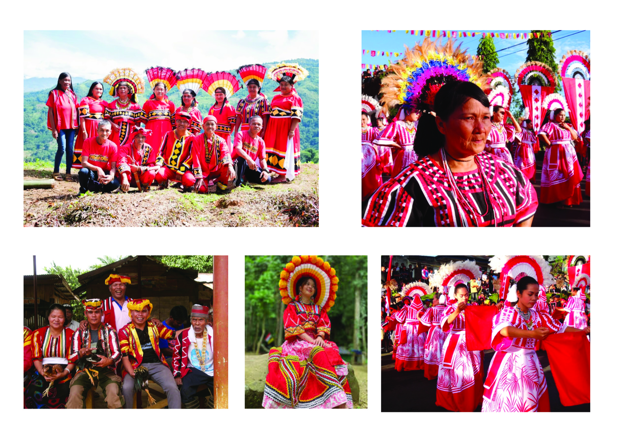 Tribal Trust research